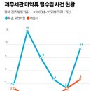 제주신발유통 이미지