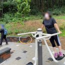 율하2지구_모산공원산책로 이미지