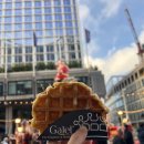 한국미용박물관 | 와플 먹으러 벨기에로 여행간 아일랜드 유학생 일상