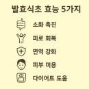 천연발효식초 효능, 건강을 지키는 자연의 힘