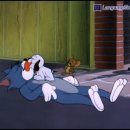 꼬마강아지 이미지