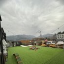 독플레이스 | [ 애견동반 ] 가평 투독플레이스 바니룸