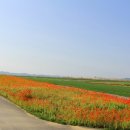 현대골프장1 이미지