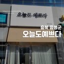 예쁘다 개 | 충북혁신도시 눈썹왁싱 후기｜오늘도예쁘다에서 눈썹정리 제대로, 디자인 눈썹왁싱 만족