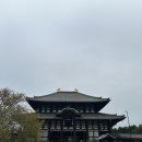 종일사슴 | 오사카 3박4일 여행 2일차: 나라사슴공원, 동대사, 아라시야마, 우메다 공중정원, 야끼니꾸