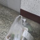 [이곡동맛집]대구시달서구/이곡동/빠른배달/찰진족발에 불족의 매콤함까지! 오픈이벤트! #황금족발
