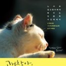 준코 이미지