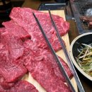 화신돼지 이미지