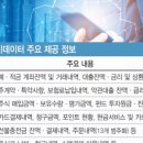 마이페이카카오