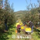 매현농장 이미지