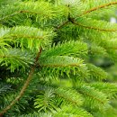 한마음한의원 이미지