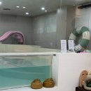 서원재로 | [포항 키즈룸] 포항 오리둥둥 인덕점 : 우리끼리 즐기는 프라이빗 워터룸