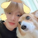 🍮💛폼폼 휘준이에게💛🍮#234 이미지