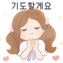 홀리데이베어 이미지
