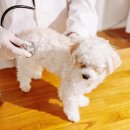 투게더동물병원 이미지