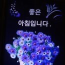 😄들은풍월 ＜복권 이야기 제 1장＞ 😆 이미지