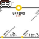 서귀포오일시장-1 이미지