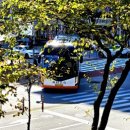 통정1리 이미지