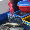 조은상회 이미지