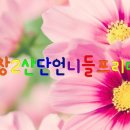 웰빙반찬백화점 이미지