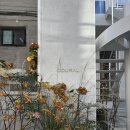 주식회사 실버온 | 웨딩밴드, 스튜디오 코랄 상담 및 구매 후기 (가격, 견적 o)