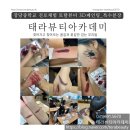 헤어 토탈 뷰티 태라