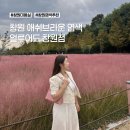 얼루어드 | 창원 애쉬브라운 톤 정리 염색 후기 얼루어드 창원점