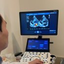 24시 올리몰스 동물메디컬센터 이미지