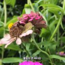 큰바다