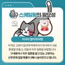안양비산동물병원 이미지