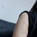 동신한의원 이미지