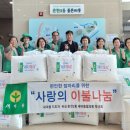 유성이불