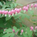 순금농장 이미지