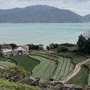 고사리맨션 이미지