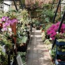 이레가든 이미지