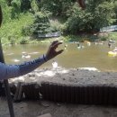 싸릿골둥지 이미지