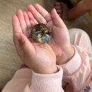 성모농장 이미지