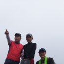 청학동 Daum카페