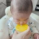 요한어린이집 | [일상] 3월의 어느나날들 + 생일주간^_^