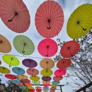 지에스허브 | 경기도 포천 드라이브하러갔던 허브아일랜드 솔직한 내돈내산 후기