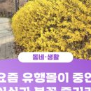 아름도담길 이미지