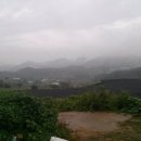 안천농장 이미지