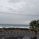 해비치 바람의 집 이미지