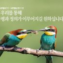 갈멜목장 티스토리