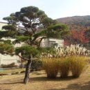 형주병원 이미지