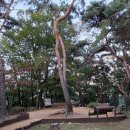 은평문화예술회관 이미지