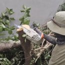 경북대학교 정문 이미지