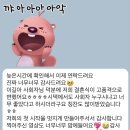 용인대 최강태권도 | 여자 아나운서 결혼식 사회자 - 더파티움 안양, 브리에홀