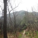 야은초등학교 이미지