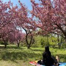 불국사관광안내소 이미지